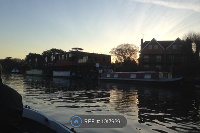 Flat (From Riverside)