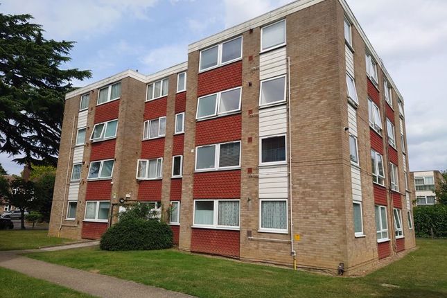 Thumbnail Flat to rent in Warham Road, South Croydon