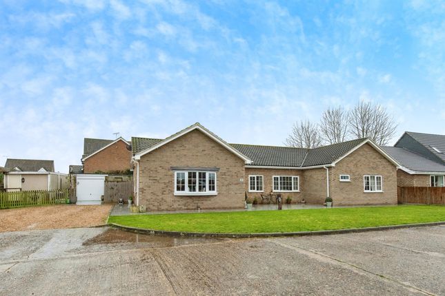 Thumbnail Detached bungalow for sale in Rose Green Lane, Beck Row, Bury St. Edmunds