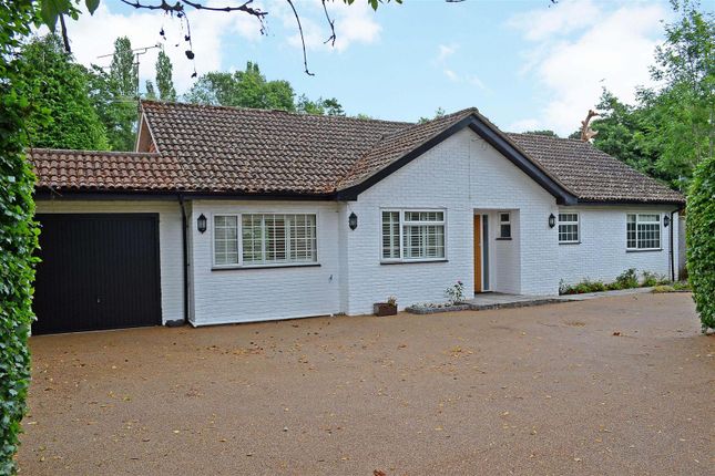 Bungalow to rent in Ockham Road South, East Horsley, Leatherhead