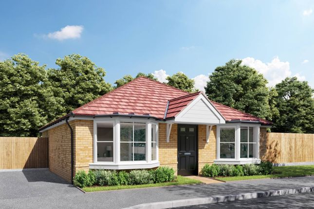 8 Sunflower Close - Saxstead 1MRF, Leaf Living at Cavendish View, Thurston IP31, Thurston photo 2