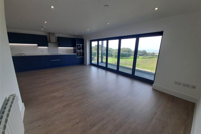 Kitchen/Living Area