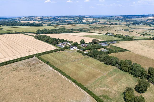Eggardon Hill View, Higher Chilfrome, Dorchester photo 2