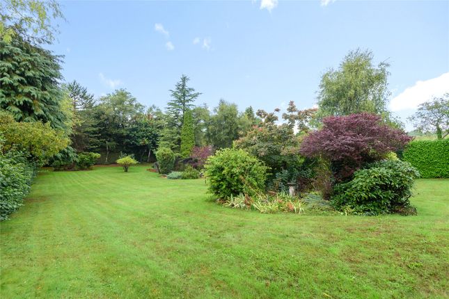 Detached house for sale in Stonehouse Road, Halstead, Sevenoaks, Kent