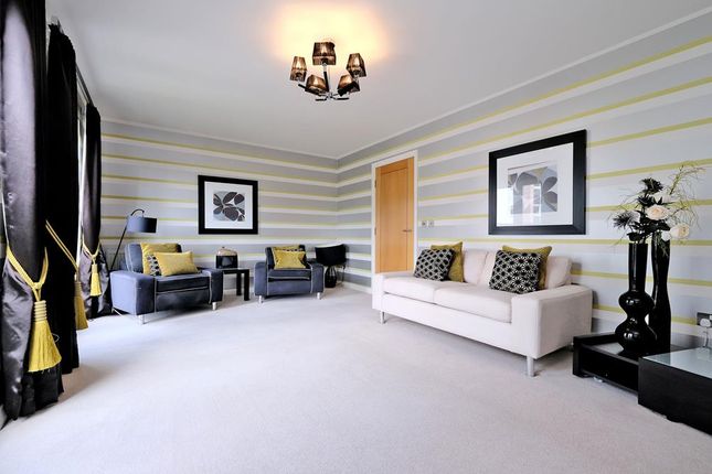 Queens Crescent, Aberdeen, AB15, Aberdeen photo 3