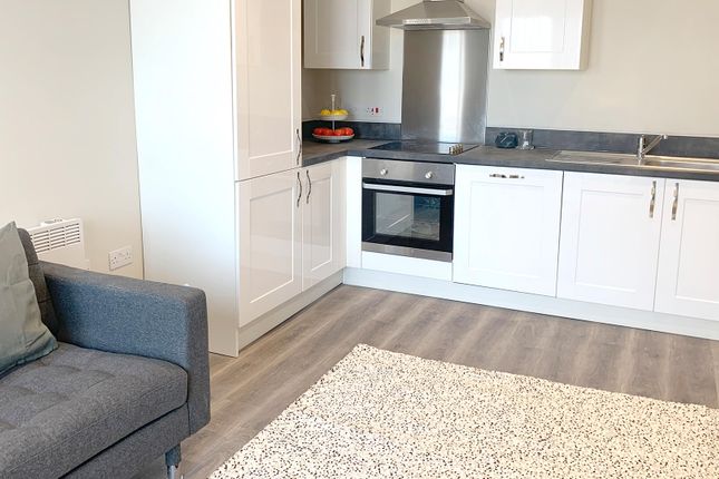 8, St. Malachys Way photo 4