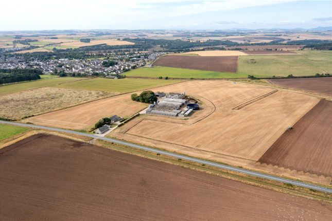 Thumbnail Land for sale in Whole - Yonderton Farm, Ellon, Aberdeenshire