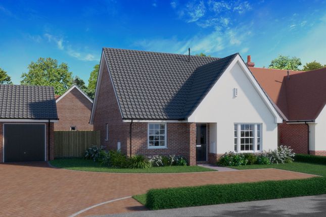 Thumbnail Detached bungalow for sale in Bure Gardens, Coltishall, Norwich