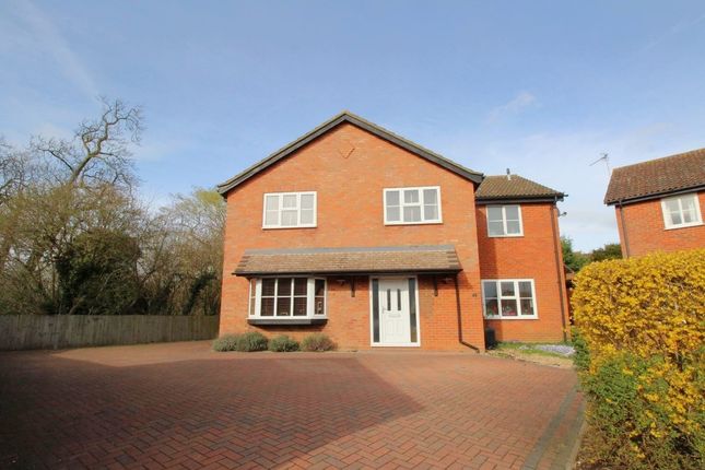 Thumbnail Detached house to rent in Armour Rise, Hitchin
