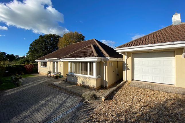 Thumbnail Detached bungalow for sale in Farlers End, Nailsea, Bristol