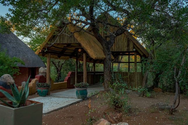 Property for sale in 45 Ndlovumzi Nature Reserve, 45 Ndlovumzi, Ndlovumzi Nature Reserve, Hoedspruit, Limpopo Province, South Africa