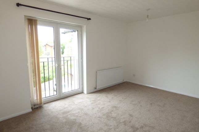 Victoria Chase, Colchester photo 3