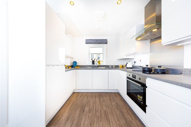 20, Royce Street, SO Resi Sheepfold photo 4