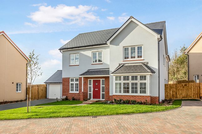 Thumbnail Detached house for sale in "The Maple" at Penhill View, Bickington, Barnstaple