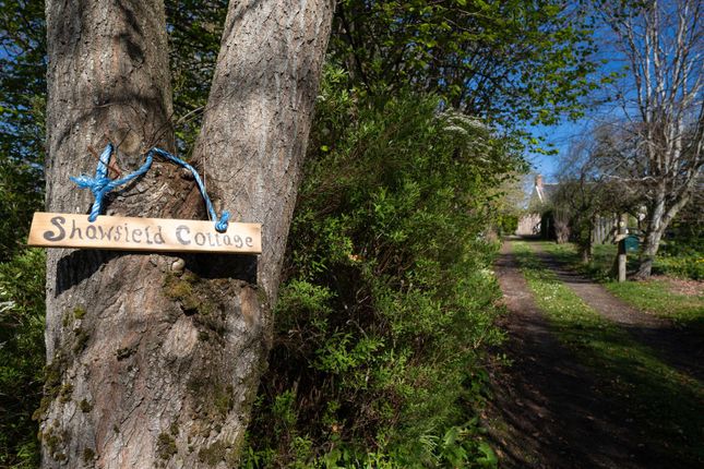 Shawfield Cottage, Balblair, Dingwall photo 4