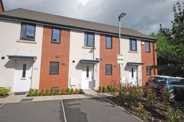 2 bedroom houses to let in newport, wales - primelocation