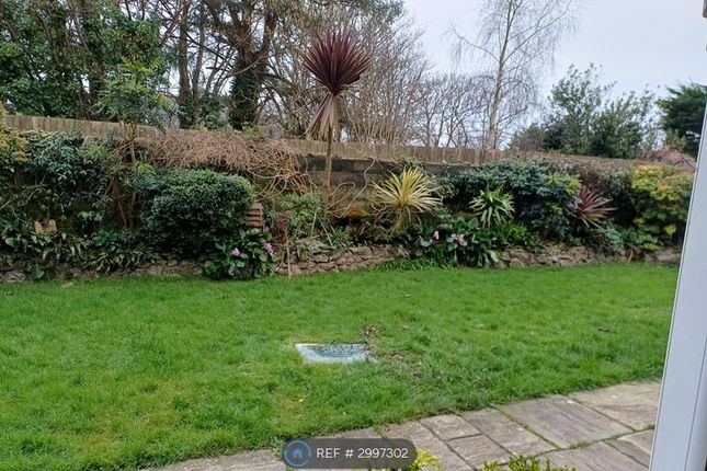 The Cottage  Mary Twill Lane, Mumbles, Swansea photo 3