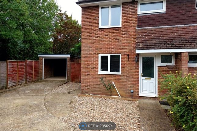Thumbnail Semi-detached house to rent in Southdown Terrace, Steyning