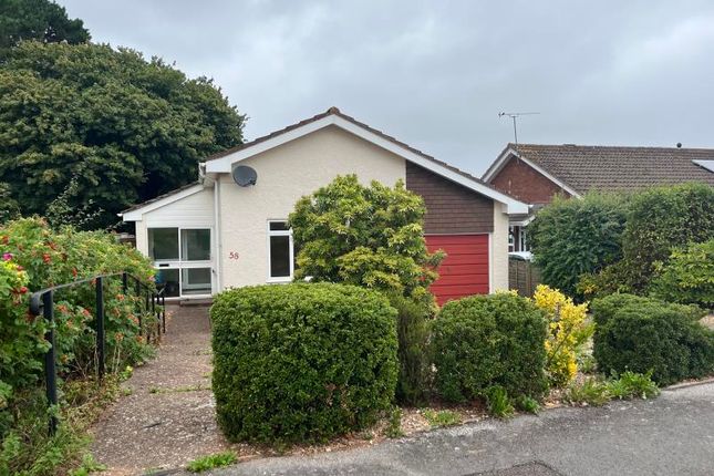 Thumbnail Bungalow to rent in West Street, Minehead