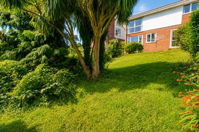 29, Meadow Close, Devon photo 4