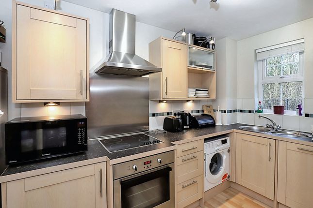 52, Sheffield photo 4