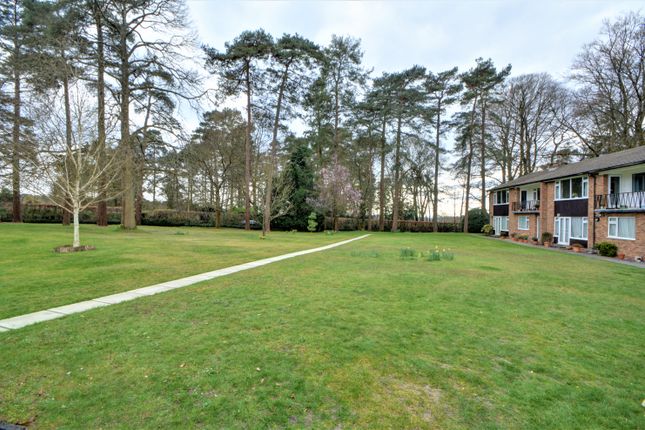 Flat to rent in Beacon Hill Court, Hindhead