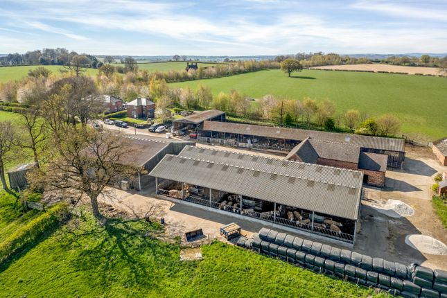 Oaks Farmyard