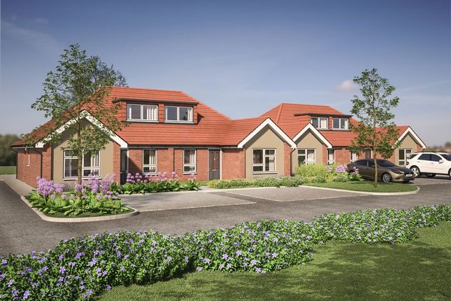 Homes To Let In Luton Bedfordshire Rent Property In Luton