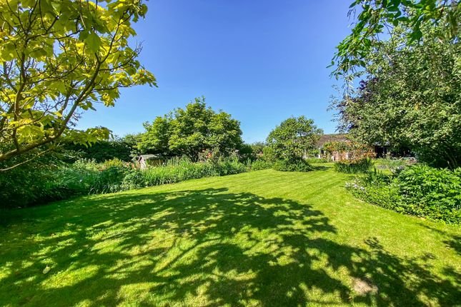 Thumbnail Detached bungalow for sale in Brecklands Green, North Pickenham, Swaffham