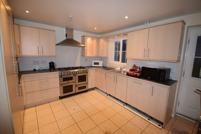 Thumbnail Terraced house to rent in Dragon Road, Hatfield
