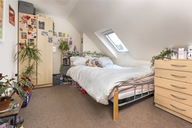 Semi-detached house to rent in Beatty Avenue, Brighton, East Sussex