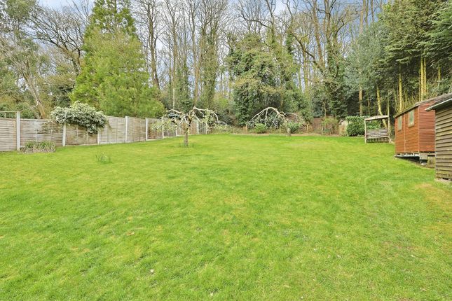Five Oaks, Rectory Road, Dereham photo 3