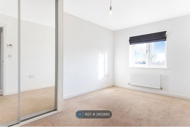 Whitethorn, Shinfield, Reading photo 5
