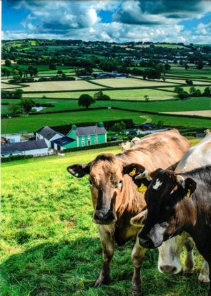 Thumbnail Farm for sale in Llanfair Road, Lampeter