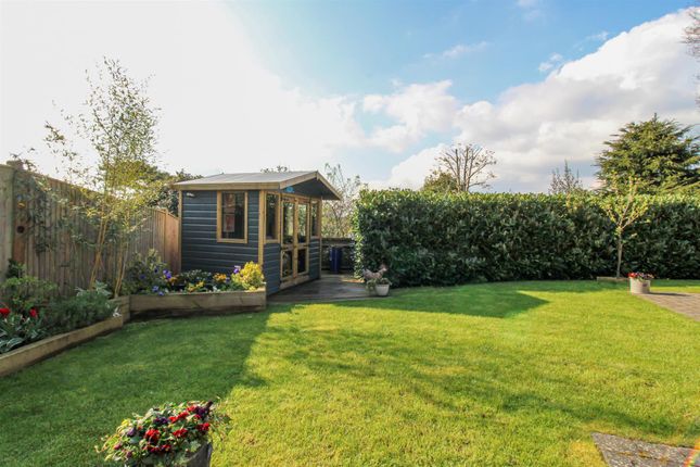 Detached bungalow for sale in Birchington Close, Bexhill-On-Sea