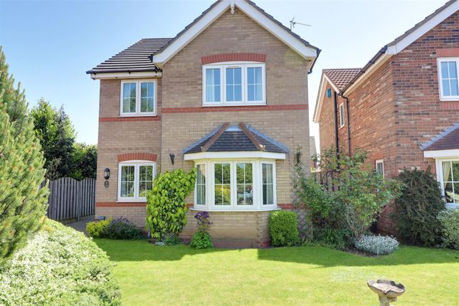 Thumbnail Detached house to rent in The Briars, Hessle