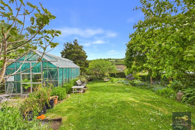 127, Mill Street, Devon photo 2