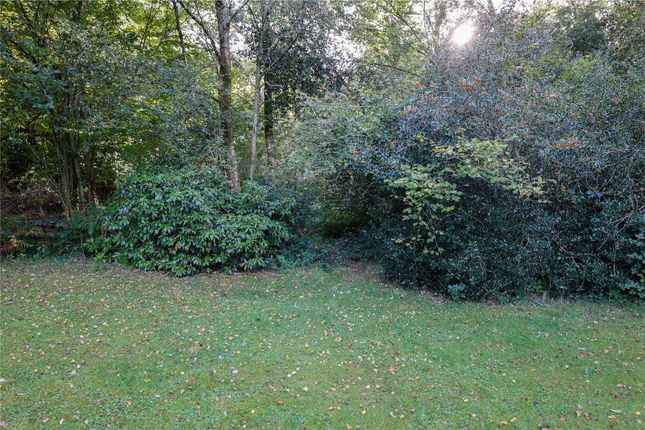 Land for sale in Conford, Liphook, Hampshire