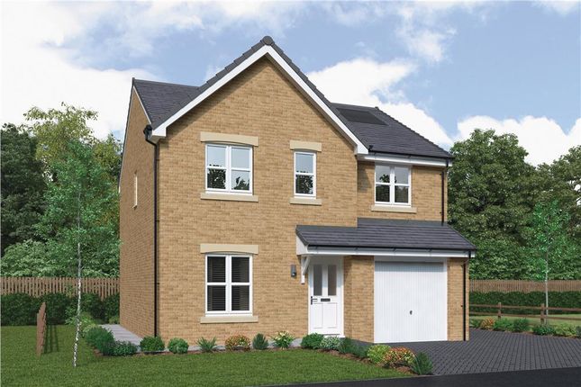 Thumbnail Detached house for sale in "Hazelwood" at Bartonshill Way, Uddingston, Glasgow