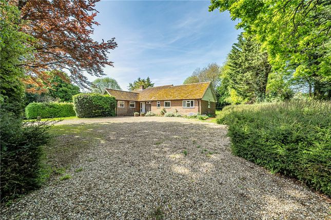 Thumbnail Bungalow to rent in Upper Green, Inkpen, Hungerford