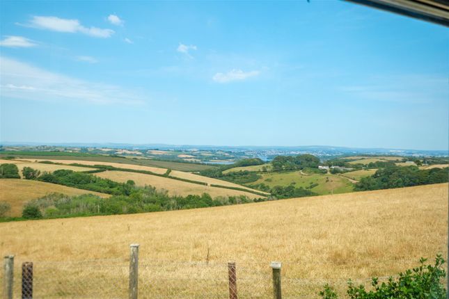 Tor Haze, Crafthole, Torpoint photo 4