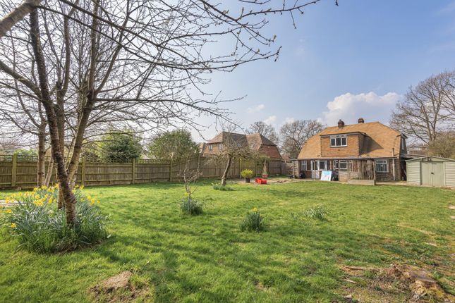 Thumbnail Detached house to rent in Loxwood Road, Alfold, Cranleigh