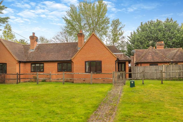 Thumbnail Bungalow for sale in Broad Oak, Odiham, Hook, Hampshire