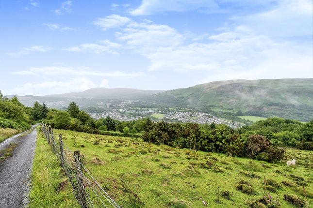 Pant-Y-Gwanyd Farm,, Allt-Y-Grug, Neath Port Talbot photo 3