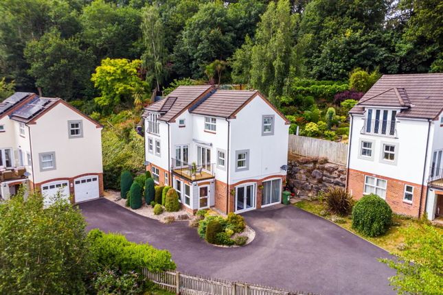 Thumbnail Detached house for sale in Speedwell Close, Bideford