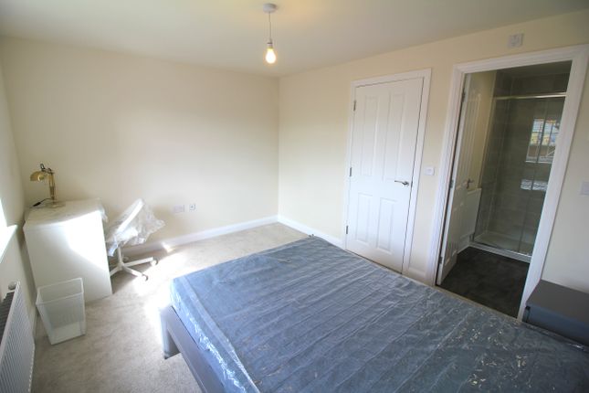 Room to rent in Lamb Lane, Norwich