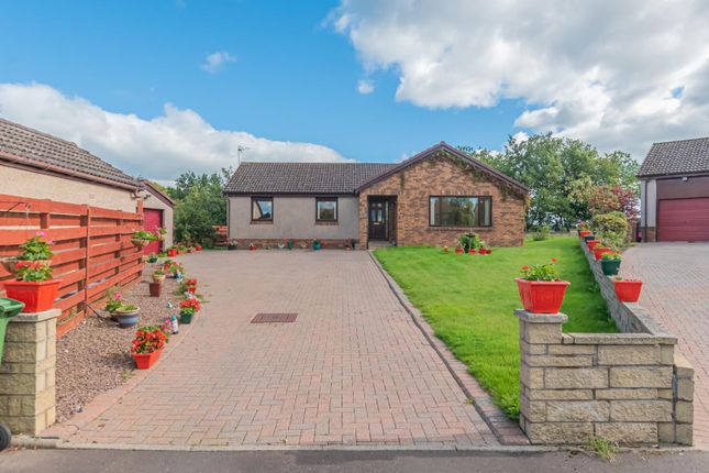 Thumbnail Bungalow for sale in Carmichael Place, Coalsnaughton, Tillicoultry