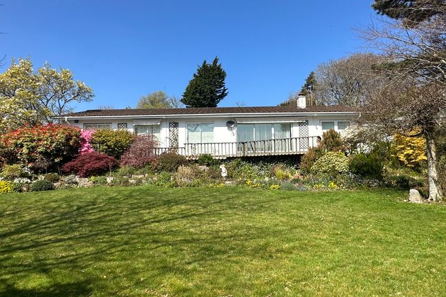 Mellyn Court, Truro photo 4