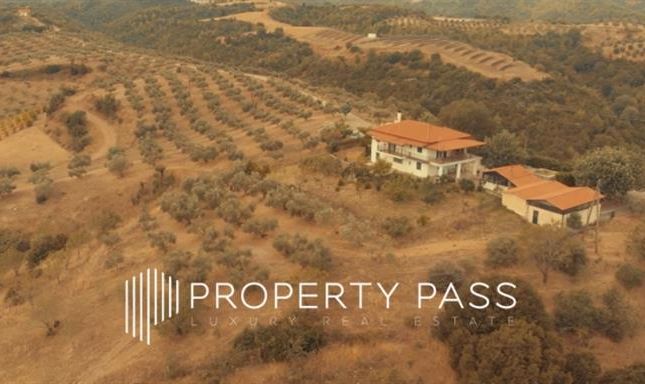 Land for sale in Andritsaina Ileias, Ileias, Greece