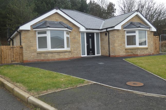 Thumbnail Detached bungalow for sale in Olive Grove, Seghill, Northumberland